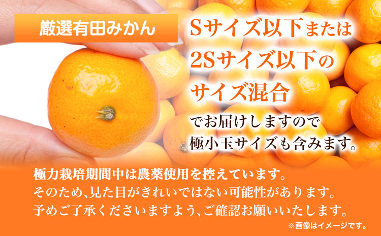 ＜先行予約＞厳選　小玉な有田みかん5kg+150g（傷み補償分）【光センサー選果】池田鹿蔵農園@日高町（池田農園株式会社）《11月上旬-12月末頃出荷》和歌山県 日高町【配送不可地域あり】