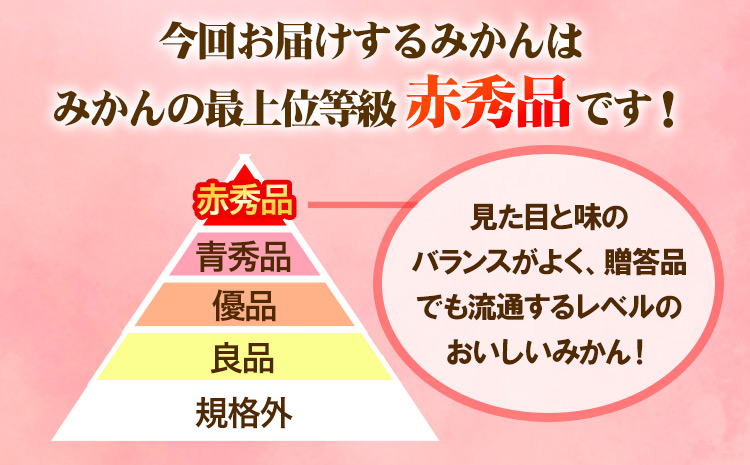 赤秀品　紀州和歌山 ハウス みかん 約 2.5kg 株式会社魚鶴商店《6月下旬-7月中旬頃出荷》和歌山県 日高町 みかん ミカン 蜜柑 フルーツ 柑橘