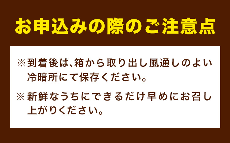 赤秀品　紀州和歌山 ハウス みかん 約 2.5kg 株式会社魚鶴商店《6月下旬-7月中旬頃出荷》和歌山県 日高町 みかん ミカン 蜜柑 フルーツ 柑橘