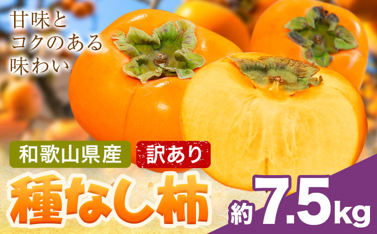 家庭用 種なし柿 約7.5kg 訳あり 池田鹿蔵農園《10月上旬-12月上旬頃出荷》和歌山県 日高町 刀根早生柿 平核無柿 ひらたねなしかき カキ 種なし柿