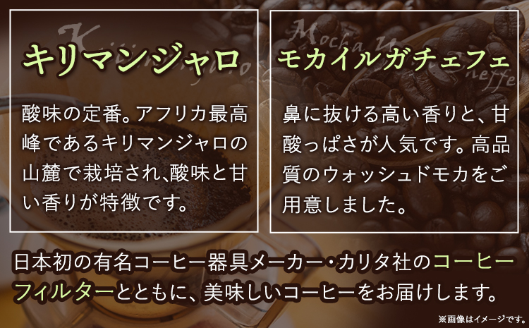 自家焙煎 コーヒー豆（キリマンジャロ・モカイルガチェフェ）各300g カリタ102 コーヒーフィルター 100枚 セット 厳選館《90日以内に出荷予定(土日祝除く)》 和歌山県 日高町