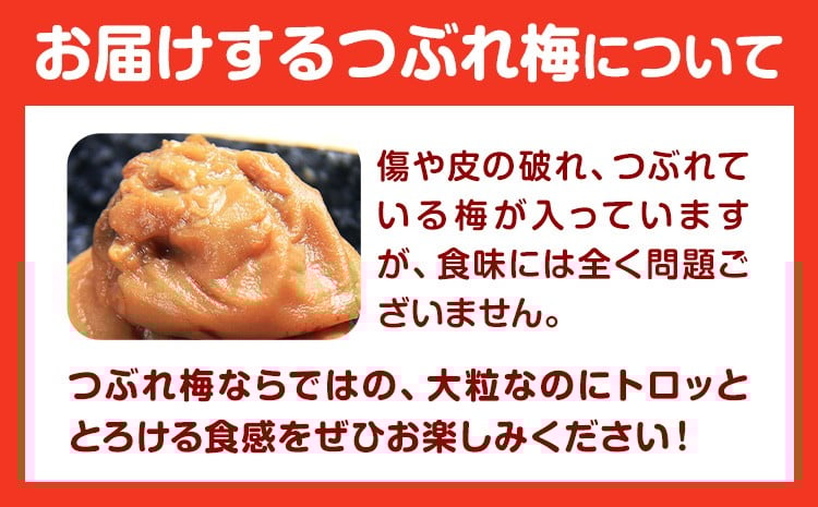 《加工食品カテゴリ上位ランクイン！》南高梅 はちみつ 梅 紀州南高梅 つぶれ 梅干し 2kg 有限会社プラム《30日以内に出荷予定(土日祝除く)》和歌山県 日高町 送料無料 梅 うめ ウメ 南高梅 つぶれ梅 蜂蜜 紀州 梅干し訳あり梅干しつぶれ梅干しはちみつ梅干しウメボシ梅干し訳あり梅干し紀州梅干し蜂蜜梅干し