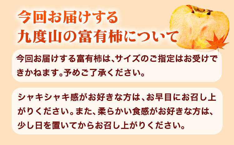 柿 の名産地 九度山の 富有柿 約 7.5kg サイズおまかせ  厳選館《2024年11月上旬-12月下旬頃出荷》和歌山県 日高町 柿 カキ  フルーツ ジューシー