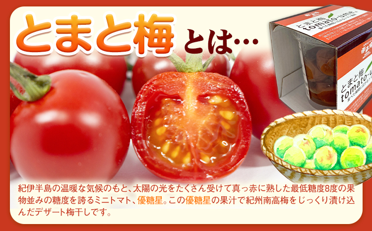 南高梅 tomato-ume とまと 梅 100g×4 有限会社プラム《30日以内に出荷予定(土日祝除く)》和歌山県 日高町 送料無料 梅 うめ ウメ 南高梅 紀州 トマト梅 送料無料