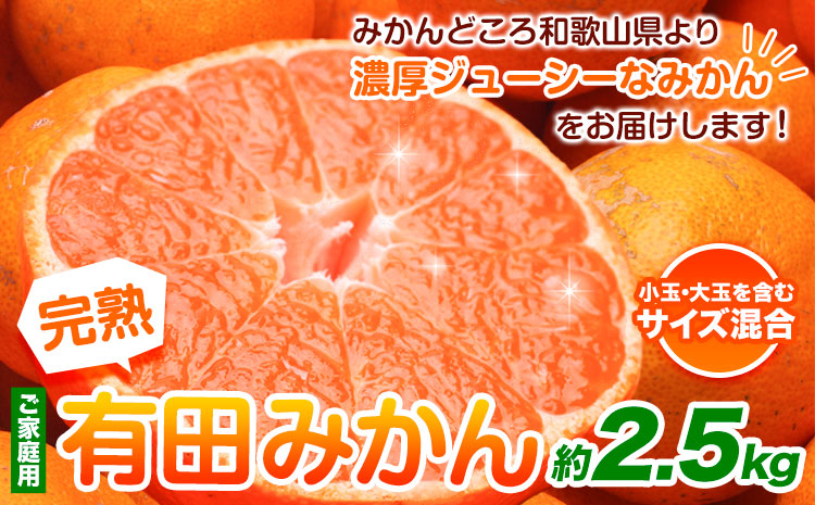 家庭用 完熟 有田みかん 2.5kg+75g （傷み補償分）【光センサー選果】池田鹿蔵農園@日高町（池田農園株式会社）《11月中旬-1月末頃出荷》和歌山県 日高町 訳あり わけあり みかん【配送不可地域あり】