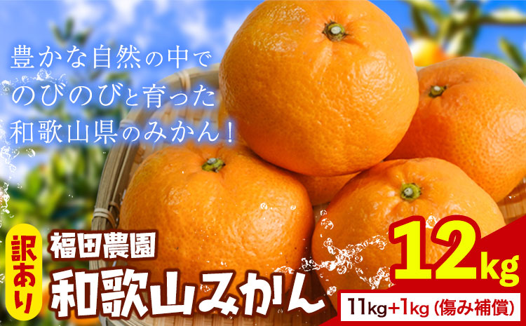 訳あり 和歌山みかん  11kg＋1kg(傷み補償分) 計12kg サイズ混合 和歌山県産 ご家庭用 福田農園 《11月中旬-2月中旬頃出荷》 和歌山県 日高町 送料無料 みかん 柑橘 柑橘類 ミカン 訳ありみかん 選べる 内容量