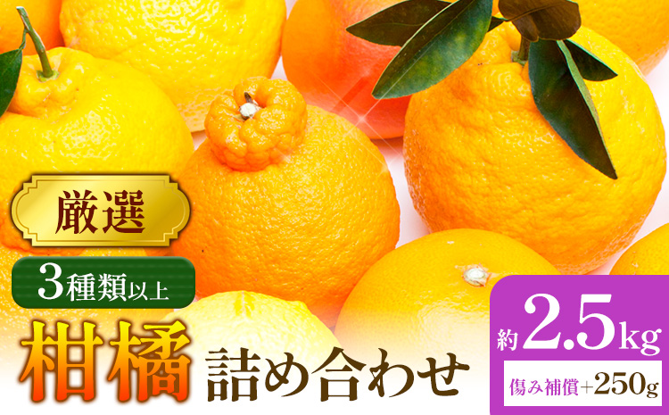 【先行予約】厳選 柑橘詰合せ 約2.5kg＋250g (傷み補償分) 3種類以上 有田の春みかん詰め合わせ 光センサー選別 池田鹿蔵農園 《2026年1月上旬-4月末頃出荷》 和歌山県 日高町 【配送不可地域あり】