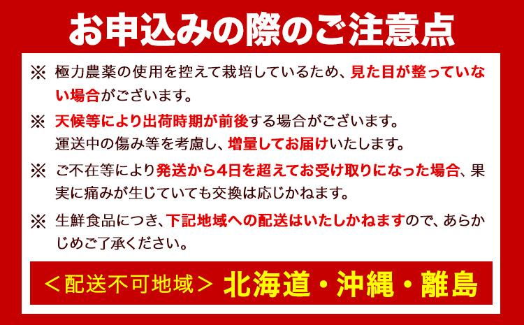 厳選 樹上完熟 はっさく 八朔 みかん 5kg＋250g 傷み補償分 池田鹿蔵農園 @日高町《4月上旬-5月末頃出荷》和歌山県 日高町 送料無料 はっさくみかん ハッサク 厳選八朔みかん【配送不可地域あり】