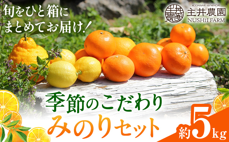 主井農園の季節のこだわりみのりセット 約5kg 主井農園《2月中旬-4月下旬頃出荷予定》 和歌山県 日高町 柑橘 みかん オレンジ せとか 清見オレンジ たまみ 不知火 デコポン 八朔 レモン 果物 フルーツ 詰合せ セット 送料無料