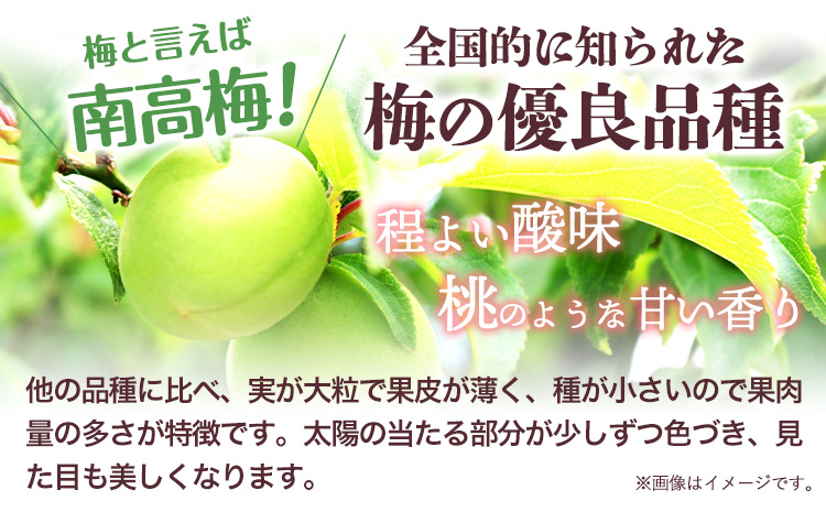 実くずれ梅 3種類セット （幸梅漬・馥梅・しそ梅） 計1.2kg おかざき酒店（日高町５）《90日以内に出荷予定(土日祝除く)》和歌山県 日高町 梅干し セット 紀州南高梅