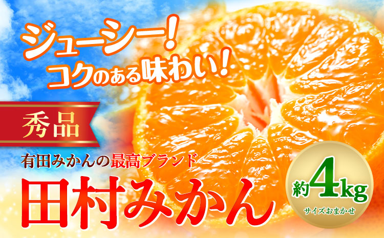 【先行予約】田村みかん 秀品 4kg(サイズおまかせ)とち亀物産 紀伊国屋文左衛門本舗《11月下旬-1月中旬頃出荷予定》和歌山県 日高町 田村みかん 有田みかん みかん 果物 フルーツ ブランド果実