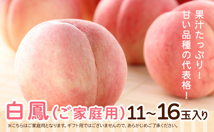 ＜先行予約＞和歌山県産 白鳳 桃 11～16玉入り 訳あり ご家庭用 株式会社松源《2025年6月下旬-7月下旬より発送予定》和歌山県 日高町 果物 フルーツ 桃 もも 送料無料