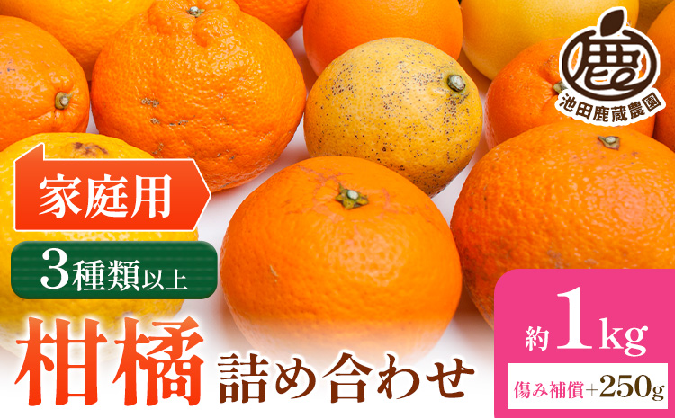 【先行予約】家庭用 柑橘詰合せ 約1kg＋250g (傷み補償分) 3種類以上 有田の春みかん詰め合わせ 光センサー選別 池田鹿蔵農園 《2026年1月上旬-4月末頃出荷》 和歌山県 日高町 【配送不可地域あり】