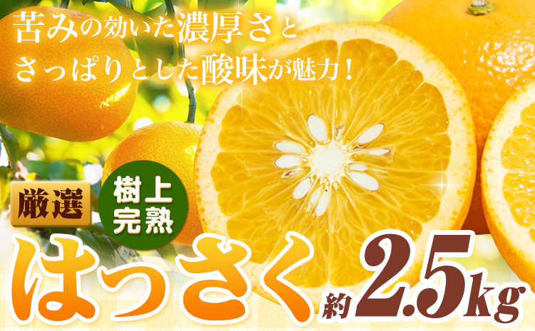 厳選 樹上完熟 はっさく 八朔 みかん 2.5kg＋250g 傷み補償分 池田鹿蔵農園 @日高町《4月上旬-5月末頃出荷》和歌山県 日高町 送料無料 はっさくみかん ハッサク 厳選八朔みかん【配送不可地域あり】
