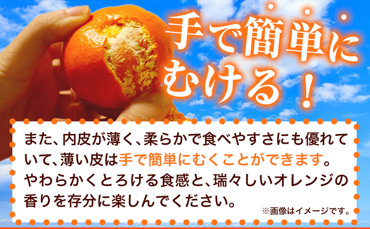 【先行予約】【家庭用 訳あり】とろける食感!ジューシー柑橘 せとか 約 3kg 魚鶴商店 《2027年2月下旬-3月中旬頃出荷》 和歌山県 日高町 みかん 柑橘 果物 フルーツ 送料無料