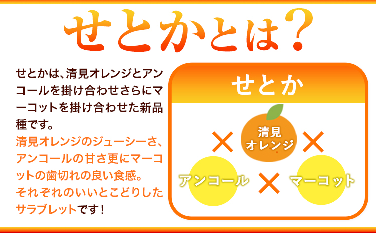 【先行予約】【家庭用 訳あり】とろける食感!ジューシー柑橘 せとか 約 3kg 魚鶴商店 《2027年2月下旬-3月中旬頃出荷》 和歌山県 日高町 みかん 柑橘 果物 フルーツ 送料無料