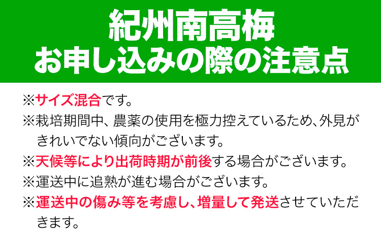 厳選 紀州南高梅 約1kg 傷み補償 梅干し 梅酒 梅ジュース 池田鹿蔵農園《6月上旬-6月末頃出荷予定》和歌山県 日高町 南高梅 完熟 青梅 送料無料【配送不可地域あり】