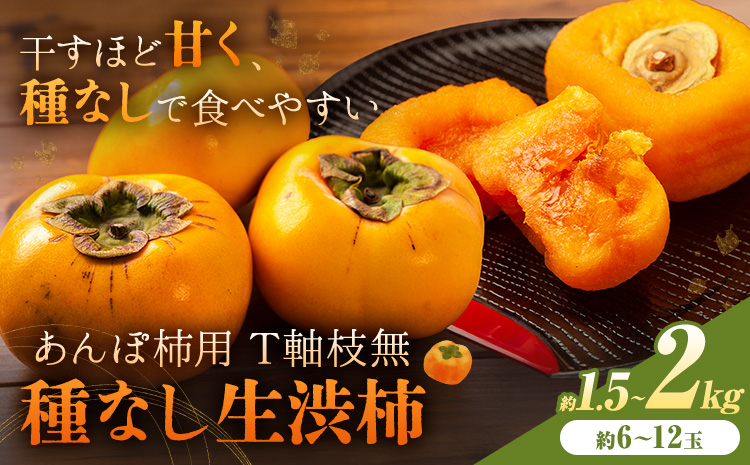 柿 かき あんぽ柿用 T軸枝無 種なし 生渋柿 1.5~2kg ふるさと農園《2026年10月中旬-11月上旬頃より発送予定(土日祝除く)》 和歌山県 日高町 贈り物 ギフト