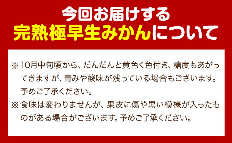 【厳選】紀州有田の完熟極早生みかん約7.5kg(2S〜2Lサイズ混合)《10月中旬-11月下旬頃出荷予定》和歌山県 日高町 フルーツ 果物 極早生