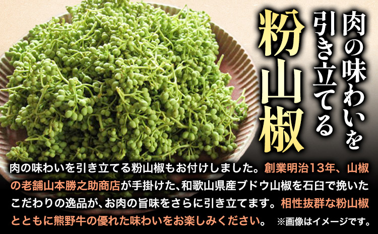 熊野牛 ユッケ 計500g 50g×10個 タレ・粉山椒付き《90日以内に出荷予定(土日祝除く)》 和歌山県 日高町 熊野牛 牛 うし 牛肉 牛丼用 ユッケ 澤株式会社(Meat Factory)