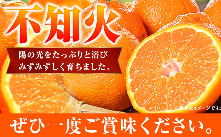 【先行予約】紀州有田産不知火(しらぬひ) 約5kg  株式会社魚鶴商店《2025年2月上旬-3月下旬頃出荷》 和歌山県 日高町 不知火 しらぬい 柑橘 ご家庭用