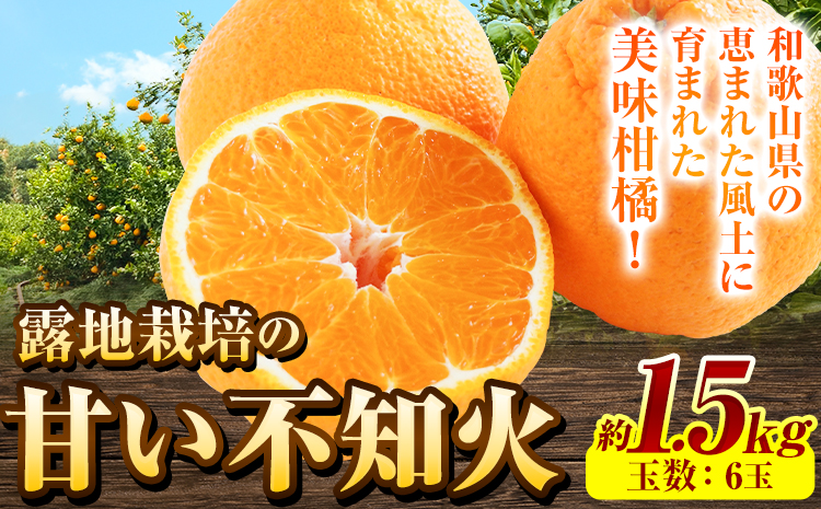 露地栽培の甘い 不知火 (デコ) 6玉 約1.5kg きよ農園《2025年2月中旬-3月末頃出荷(土日祝除く)》和歌山県 日高町 柑橘 不知火 しらぬい デコポン と同品種 フルーツ 果物 スイーツくだもの