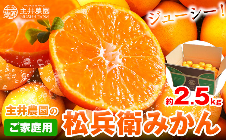 主井農園の松兵衛みかん ご家庭用 約2.5kg[2025年11月中旬-1月上旬頃出荷]主井農園 みかん 和歌山県 日高町 和歌山みかん 温州みかん ミカン 蜜柑 柑橘 果物 フルーツ 家庭用 訳あり わけあり みかん