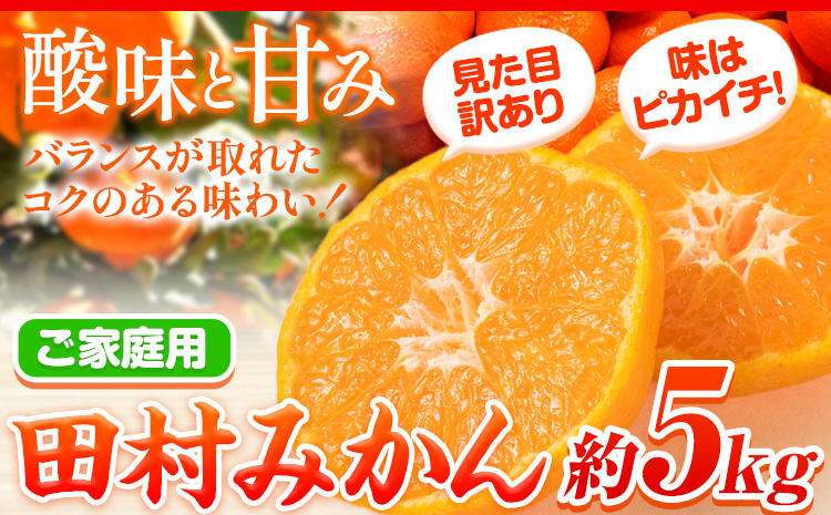 【先行予約】【ご家庭用 訳あり】田村みかん 5kg 株式会社魚鶴商店《2026年11月下旬-2027年1月下旬頃出荷》 和歌山県 日高町  柑橘 フルーツ (F)