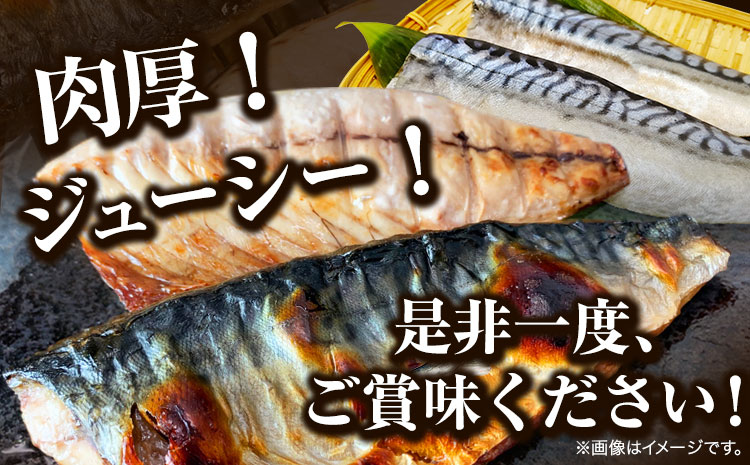 塩さば フィレ 14枚入 (真空パック入)  株式会社魚鶴商店《30日以内に出荷予定(土日祝除く)》 和歌山県 日高町 さば 塩サバ 鯖  ごはんのお供 おつまみ にも最適！ 