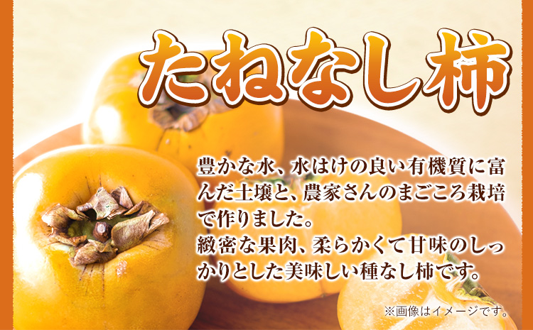 ◆先行予約◆和歌山産たねなし柿（L〜4Lサイズおまかせ）約7.5kg・秀品 《2024年10月上旬-11月末頃出荷》 和歌山県 日高町 かき 種なし
