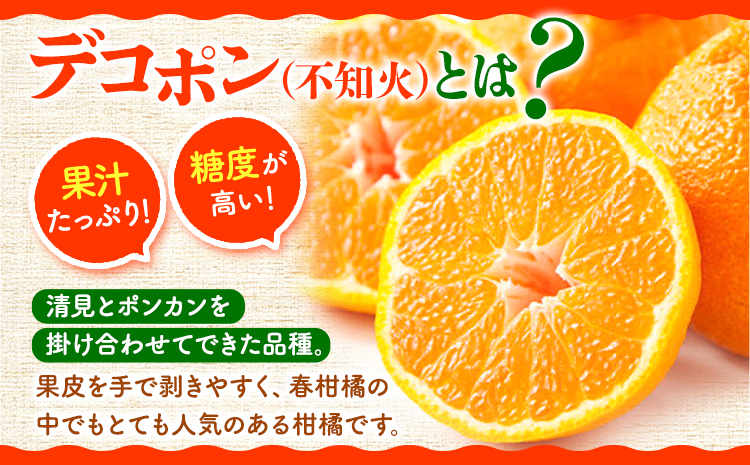 【お味濃厚】紀州有田産のデコポン約5kg(18玉〜24玉入り・青秀以上) 厳選館 《2025年1月下旬頃-4月上旬頃出荷》和歌山県 日高町