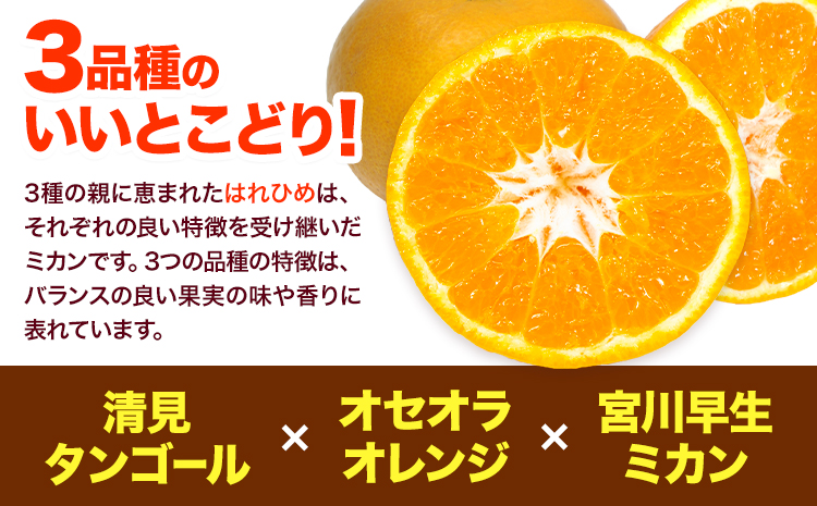 【先行予約】みかん はれひめ 約5kg 25玉 ～ 30玉 紀農人株式会社《2025年12月中旬-2月上旬頃出荷》 和歌山県 日高町 果物 フルーツ 柑橘 蜜柑 柑橘類 旬