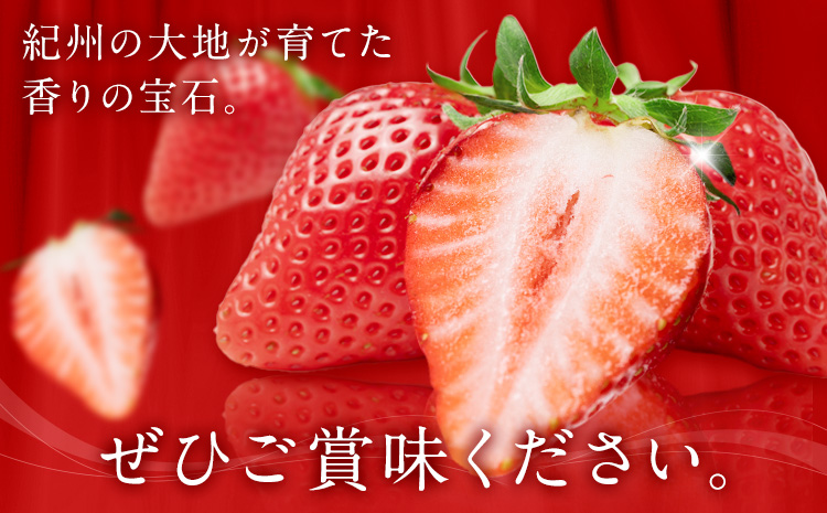 ãå
è¡äºçŽããã¡ã ã€ããŽ èº ãã«ãŒã æç© çŽå·åæå±± ãã©ã³ããã¡ã çŽã®éŠ 250g à 4ãã㯠1kg 1000g æ ªåŒäŒç€Ÿéé¶Žååºã2027幎2æäžæ¬-2æäžæ¬é åºè·ãåæå±±ç æ¥é«çº ã¹ã€ãŒã çã ã±ãŒã ãèåäœã