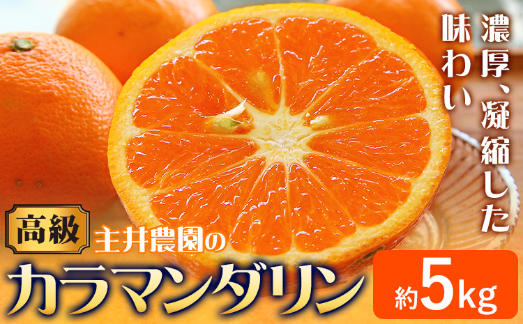 高級カラマンダリン約5kg 主井農園《4月上旬-5月中旬頃出荷》 和歌山県 日高町 カラマンダリン みかん 高級 果物 送料無料