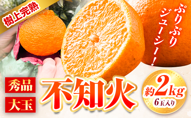 [先行予約]秀品 大玉 不知火 約 2kg 6玉 道の駅 くしがきの里[2027年2月末-3月末頃出荷] 和歌山県 日高町 果物 フルーツ 柑橘 蜜柑 柑橘類 旬 しらぬいst-p