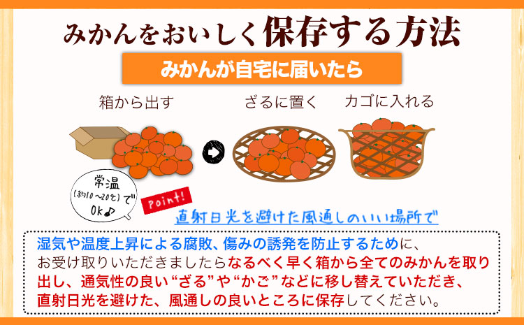 紀州和歌山有田産 ゆら早生みかん 約10kg 株式会社魚鶴商店《2025年10月上旬-11月上旬頃出荷》 和歌山県 日高町 みかん 早生 柑橘 蜜柑 ミカン