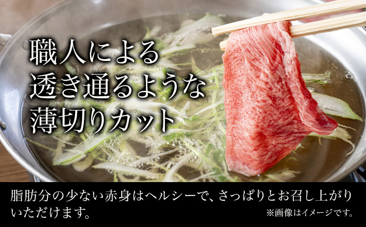 和歌山産 高級和牛 熊野牛 赤身しゃぶしゃぶ用 約600g エバグリーン《30日以内に出荷予定(土日祝除く)》 和歌山県 日高町 牛 うし 牛肉 熊野牛 和牛 高級