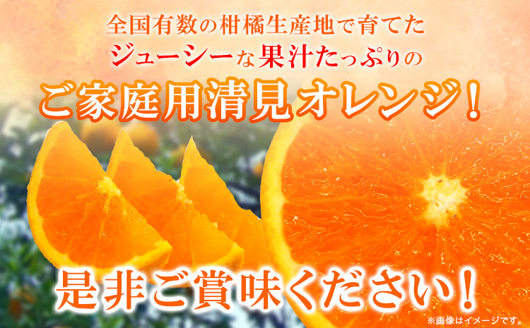 ＜先行予約＞【ご家庭用訳アリ】 紀州有田産清見オレンジ 7.5kg 株式会社魚鶴商店《2025年3月上旬-4月上旬頃出荷》 和歌山県  オレンジ 柑橘 ご家庭用