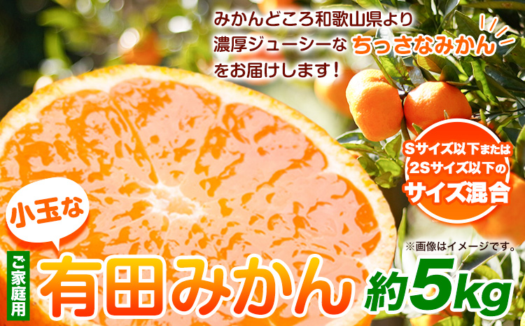 ＜先行予約＞家庭用　小玉な有田みかん5kg+150g（傷み補償分）【わけあり・訳あり】【光センサー選果】池田鹿蔵農園@日高町（池田農園株式会社）《11月上旬-12月末頃出荷》和歌山県 日高町【配送不可地域あり】