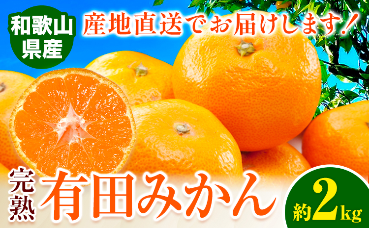 みかん 完熟有田みかん 約2kg 有田マルシェ《11月中旬-1月上旬頃出荷》和歌山県 日高町 みかん 有田 みかん 柑橘 フルーツ 完熟 ミカン 蜜柑