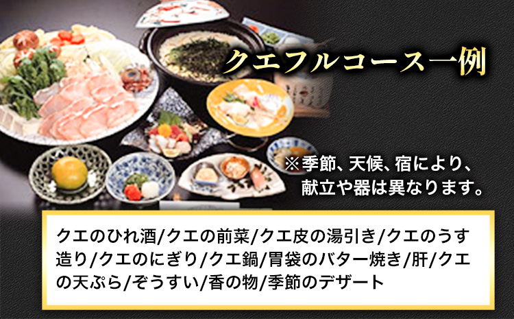 本場で味わう贅沢なひととき「紀州日高のクエ」の宿　クエフルコース付ペア宿泊券 日高町役場《30日以内に出荷予定(土日祝除く)》 和歌山県 日高町 クエ クエフルコース 宿泊券 1泊2食付き 2名  送料無料