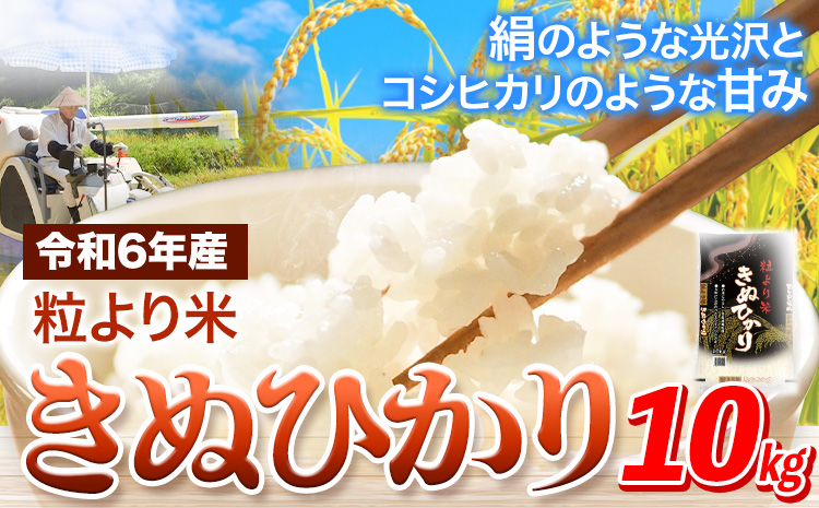 令和6年産 粒より米 きぬひかり 10kg  JA紀州 さわやか日高《90日以内に出荷予定(土日祝除く)》 和歌山県 日高町 米 こめ コメ きぬひかり キヌヒカリ 送料無料 精米