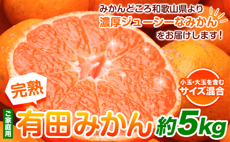 家庭用 完熟 有田みかん 5kg+150g （傷み補償分）【光センサー選果】池田鹿蔵農園@日高町（池田農園株式会社）《11月中旬-1月末頃出荷》和歌山県 日高町 訳あり わけあり みかん【配送不可地域あり】