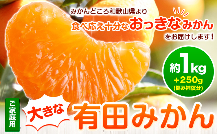ふるさと納税 みかん・柑橘類 デコポン 熊本県 宇城市 宇城市産 不知火 約8kg（25個前後） ひでみかん 2025年2月上旬から3月下旬発送予定 柑橘 果物 くだもの … ふるさと納税 先行予約 12月からの4ヶ月定期便ポンポンパック 定期