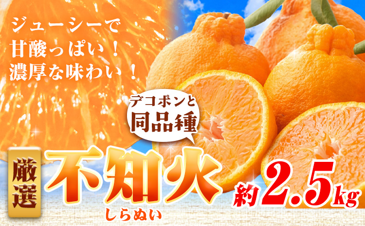 プリッと濃厚!!旬を厳選 不知火 デコポン 同品種 みかん 屋k2.5kg+250g（傷み補償） 池田鹿蔵農園 《2026年2月上旬-3月末頃より出荷予定》和歌山県 日高町 送料無料 しらぬい でこぽん 濃厚 厳選みかん 厳選デコポン 傷み補償分付き【配送不可地域あり】