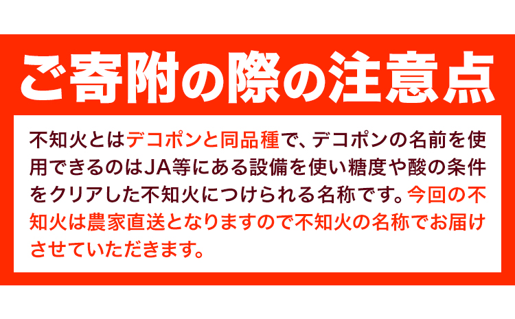 【先行予約】秀品 大玉 不知火 約 2kg 6玉 道の駅 くしがきの里《2027年2月末-3月末頃出荷》 和歌山県 日高町 果物 フルーツ 柑橘 蜜柑 柑橘類 旬 しらぬいst-p