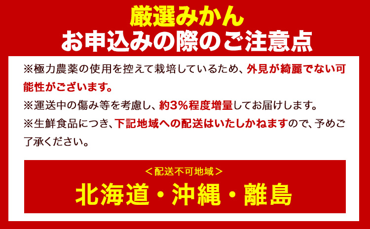 ＜先行予約＞厳選　大きな有田みかん4kg+120g（傷み補償分）【光センサー選果】 池田鹿蔵農園@日高町（池田農園株式会社）《11月中旬-2月中旬頃出荷》和歌山県 日高町【配送不可地域あり】