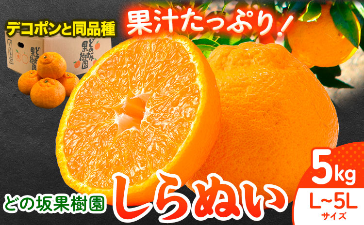 【先行予約】熟成貯蔵 不知火 約5kg (L～5Lサイズ) どの坂果樹園《2027年2月中旬-4月上旬頃出荷》 和歌山県 日高町 しらぬい 不知火 デコポン でこぽん 旬 果物 フルーツ 柑橘 産地直送 送料無料 春みかん(デコポン と同品種)