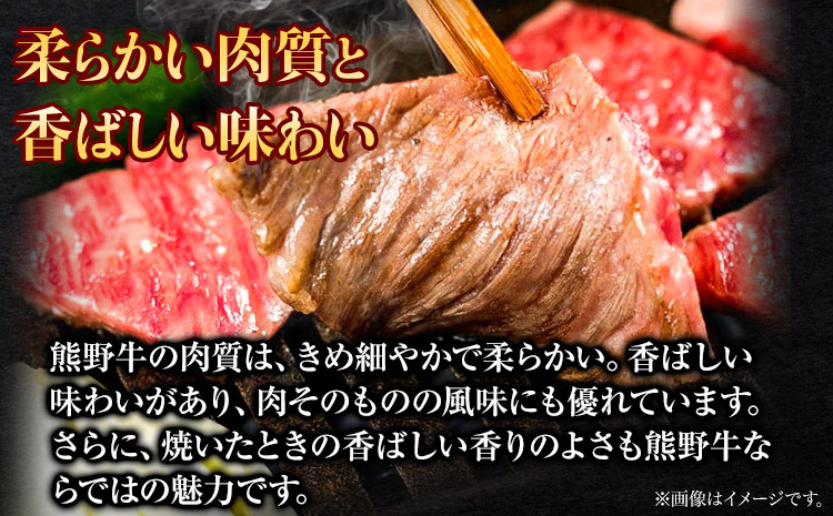 熊野牛 ロース ステーキ 600g 粉山椒付き 澤株式会社(Meat Factory) 《90日以内に出荷予定(土日祝除く)》和歌山県 日高町 送料無料 牛肉 肉 ロース ステーキ