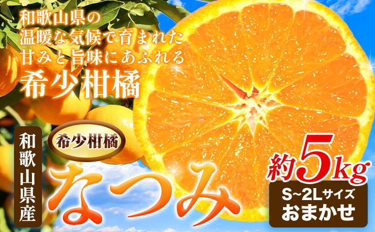 希少柑橘 和歌山産なつみ約5kg S 2lサイズおまかせ 厳選館 4月上旬 5月上旬より順次出荷 和歌山県 日高町 みかん なつみ 南津海 柑橘 果物 フルーツ 送料無料 Jalふるさと納税 Jalのマイルがたまるふるさと納税サイト